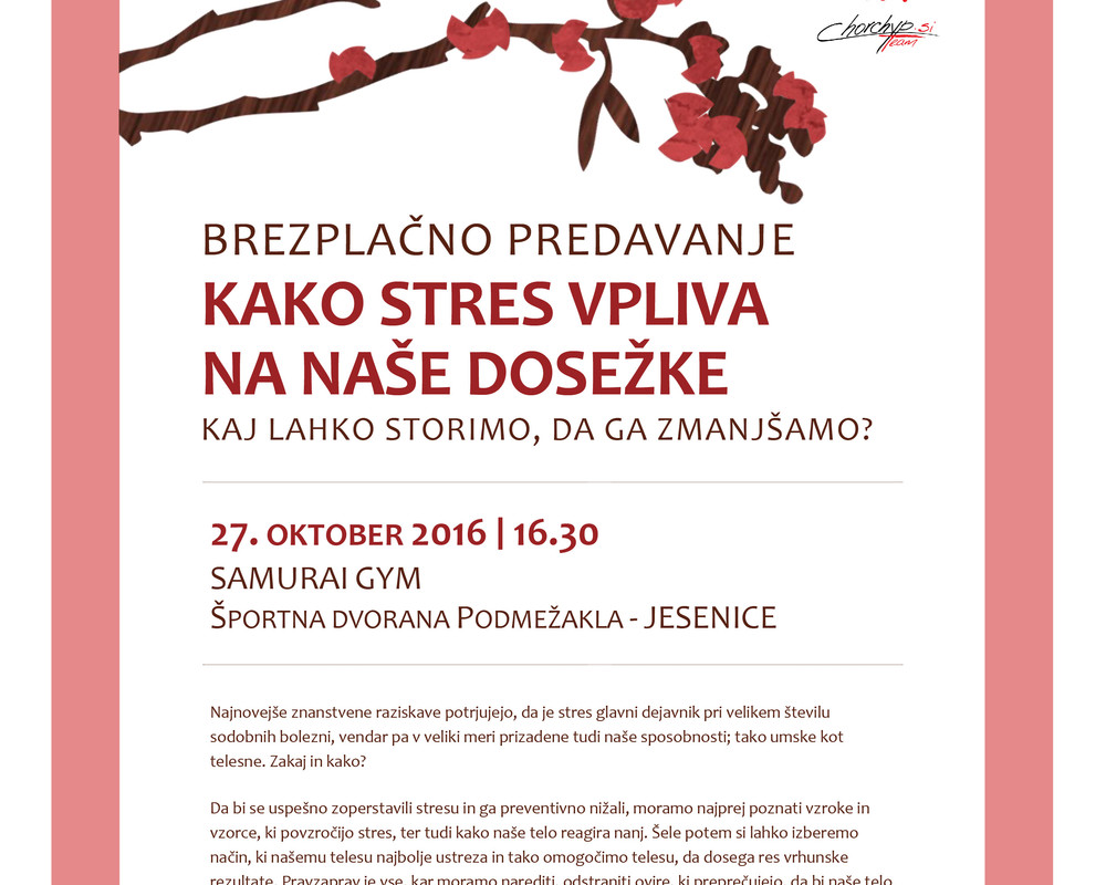 Kako stres vpliva na naše dosežke